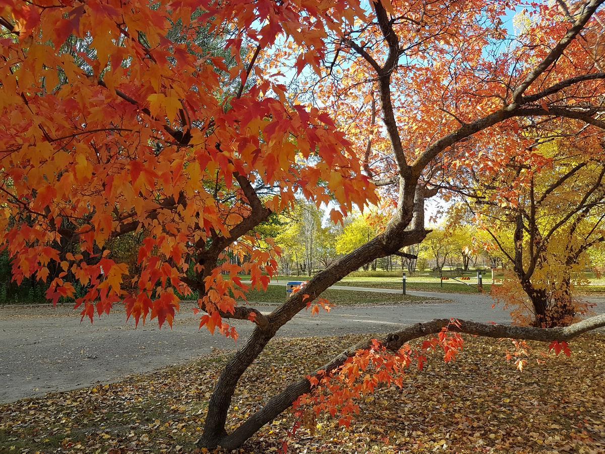 Spruce Woods Inn Glenboro Εξωτερικό φωτογραφία