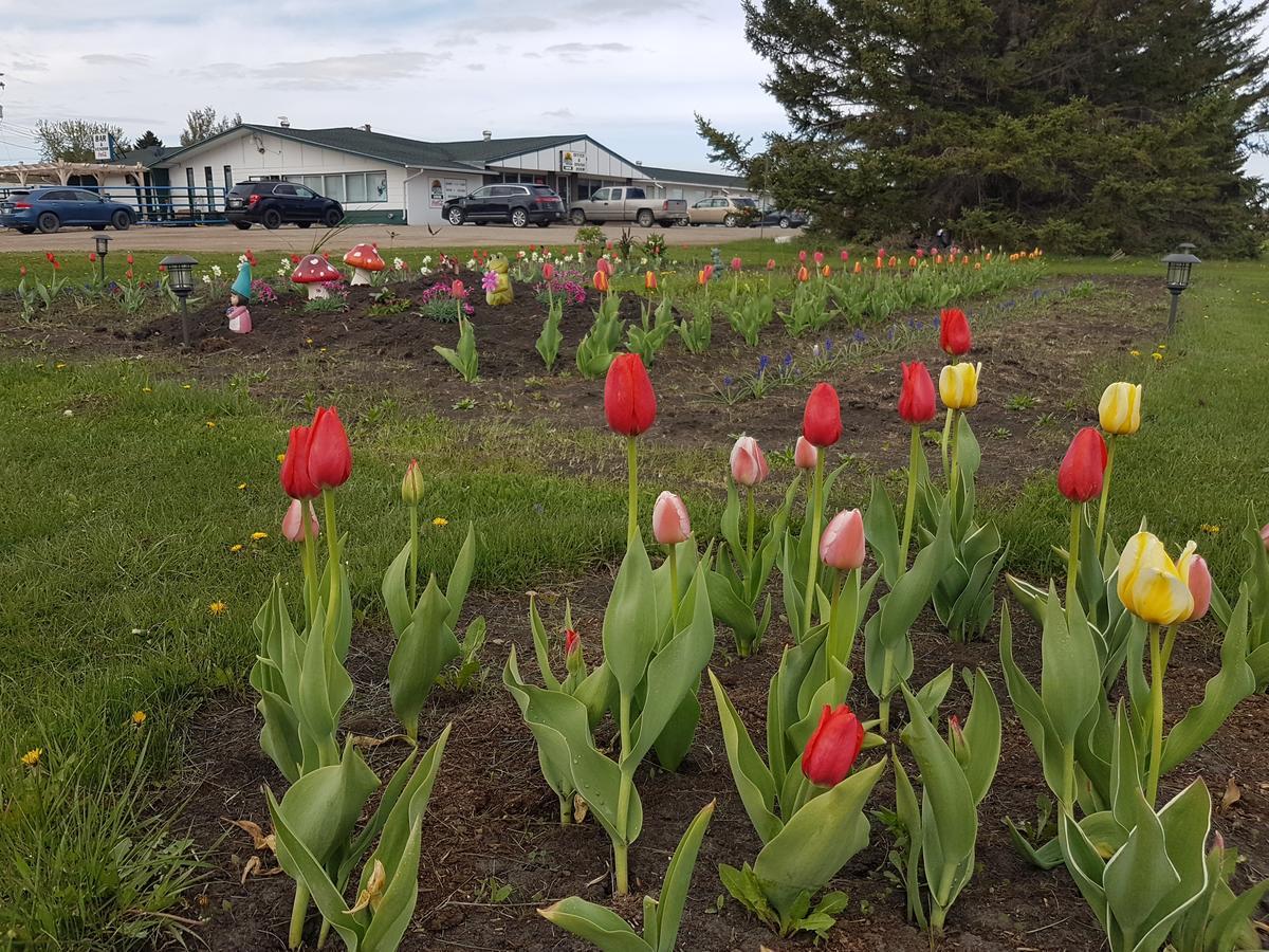 Spruce Woods Inn Glenboro Εξωτερικό φωτογραφία